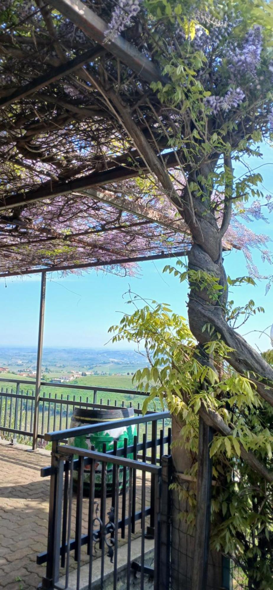 Casa Vacanza Il Colle Del Vento Calosso Ngoại thất bức ảnh